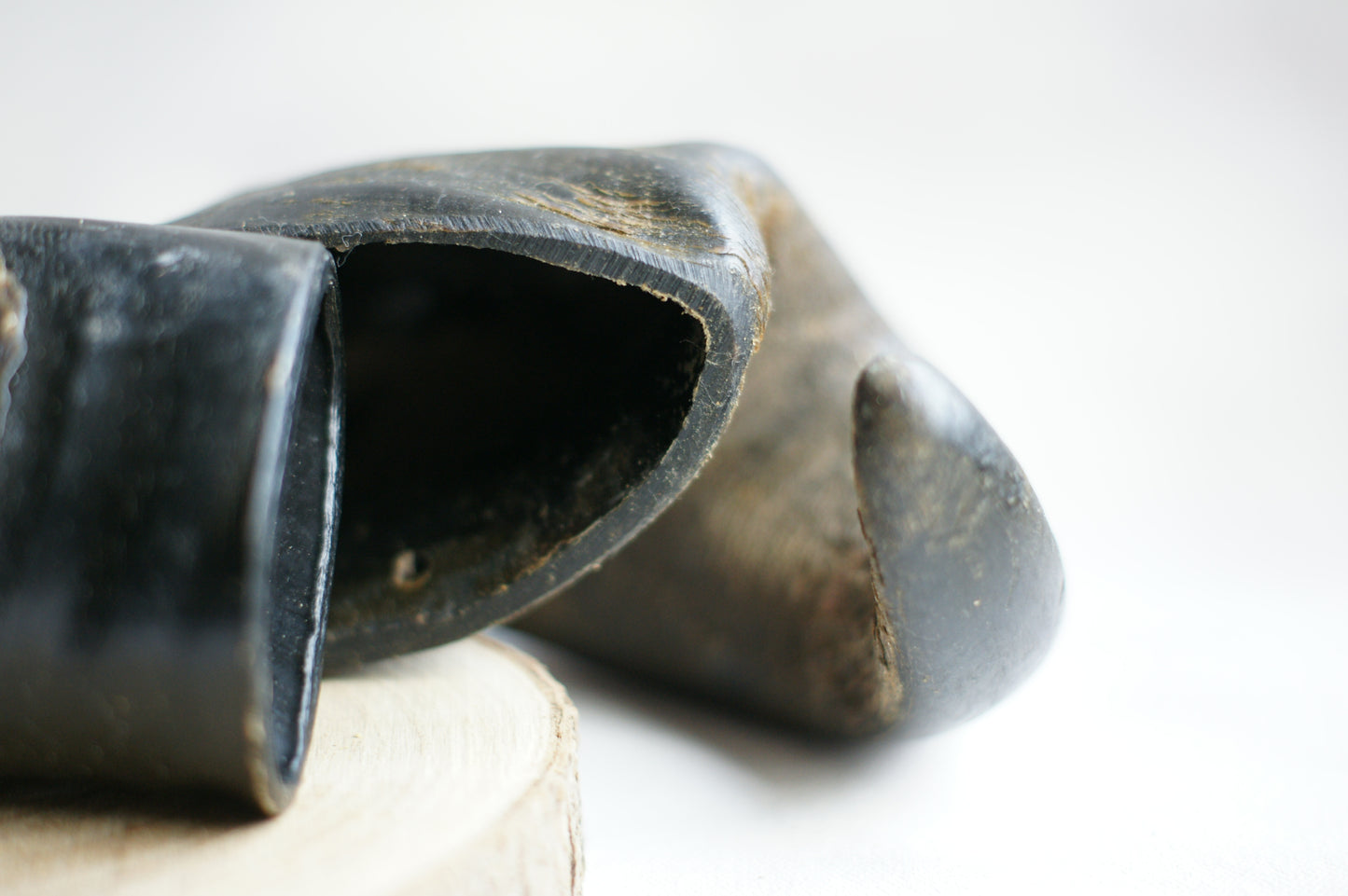 Buffalo Horns