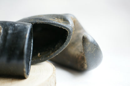 Buffalo Horns