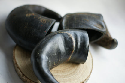 Buffalo Horns