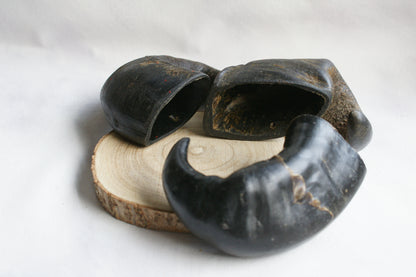 Buffalo Horns